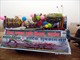 Republic Day 26th January 2016 Photo Gallery at Nehru Stadium Laheriasarai Darbhanga